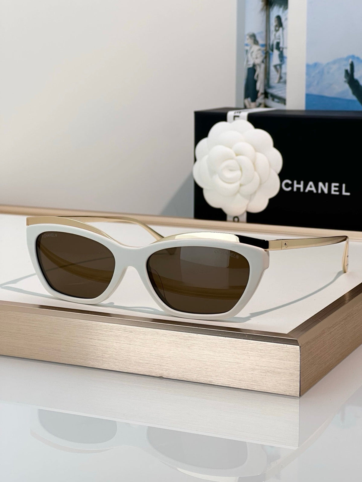 CHANEL 4299 Cat Eye Sunglasses  Eyewear  🖤