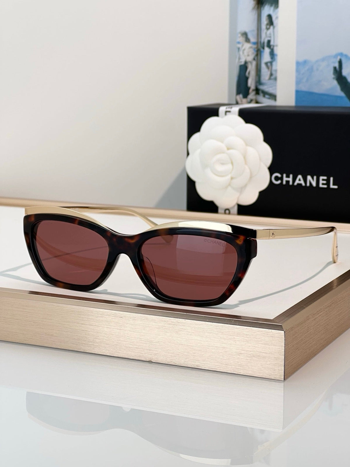CHANEL 4299 Cat Eye Sunglasses  Eyewear  🖤