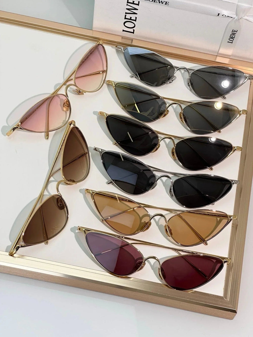 LOEWE Shooting Star Sunglasses  G737LIGX02 ✨