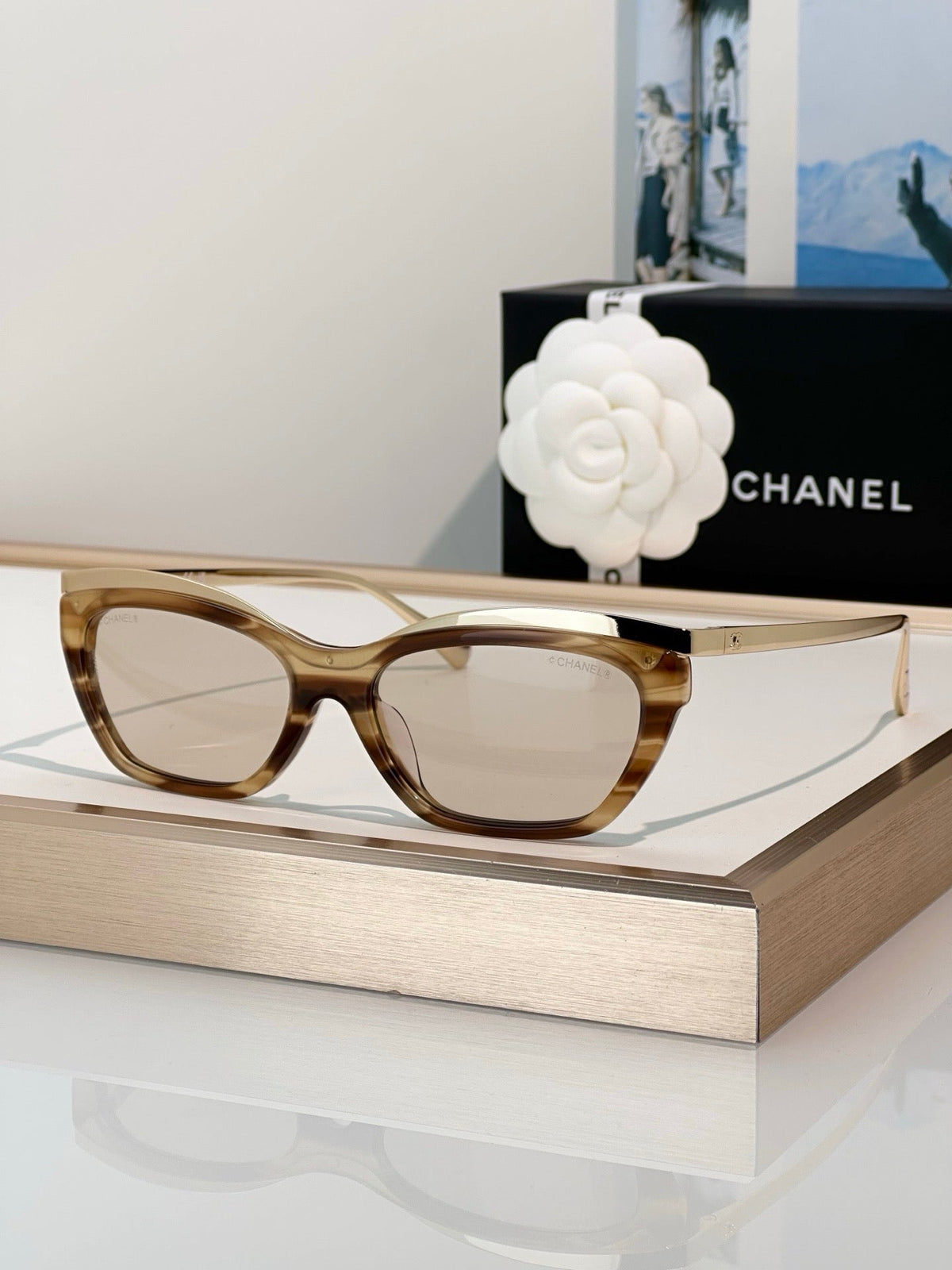 CHANEL 4299 Cat Eye Sunglasses  Eyewear  🖤