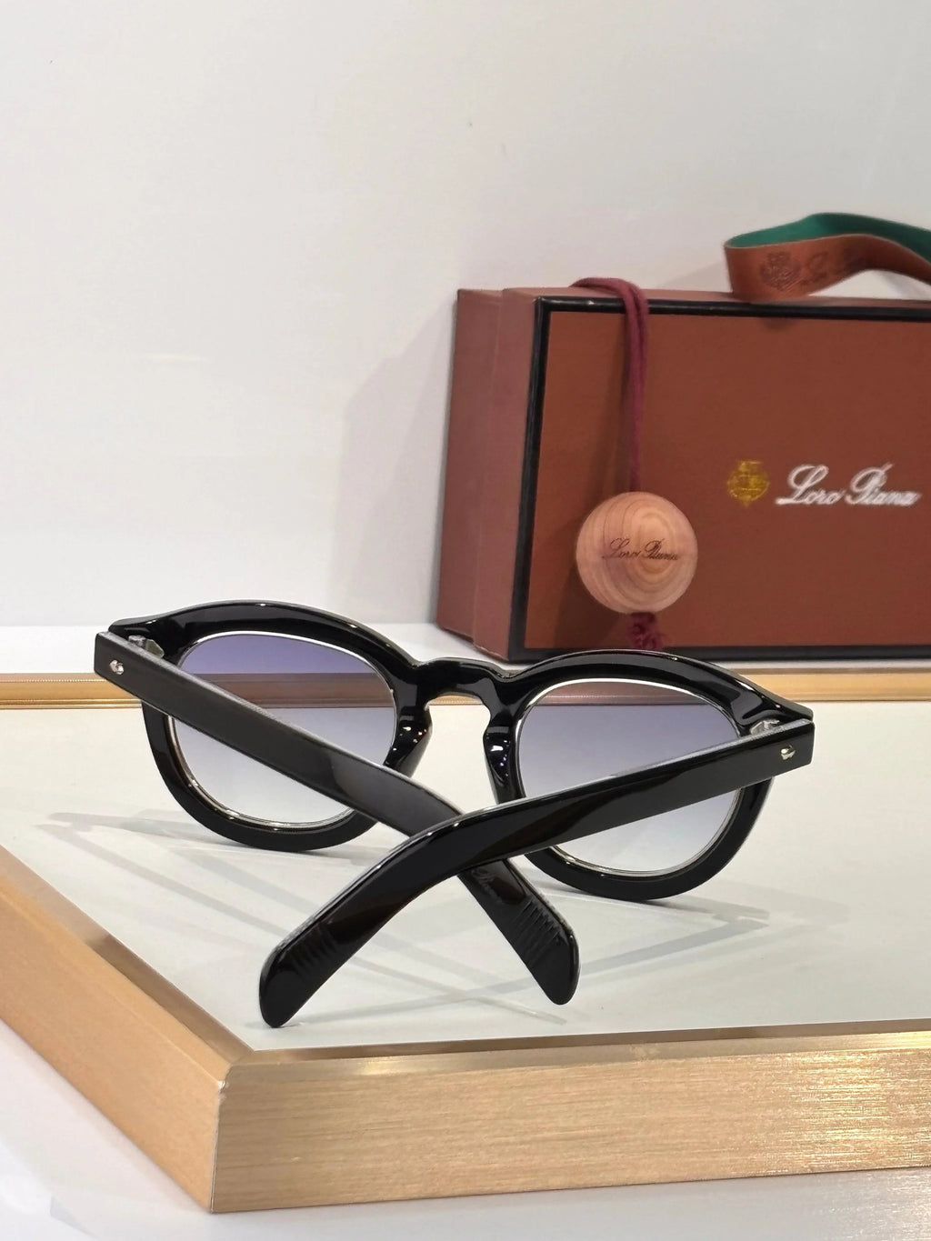 Loro Piana Traveller Unisex Sunglasses 🍂