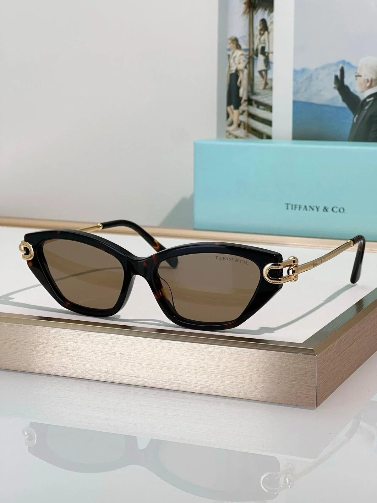 TIFFANY & CO TF4231U Women's Sunglasses ✨