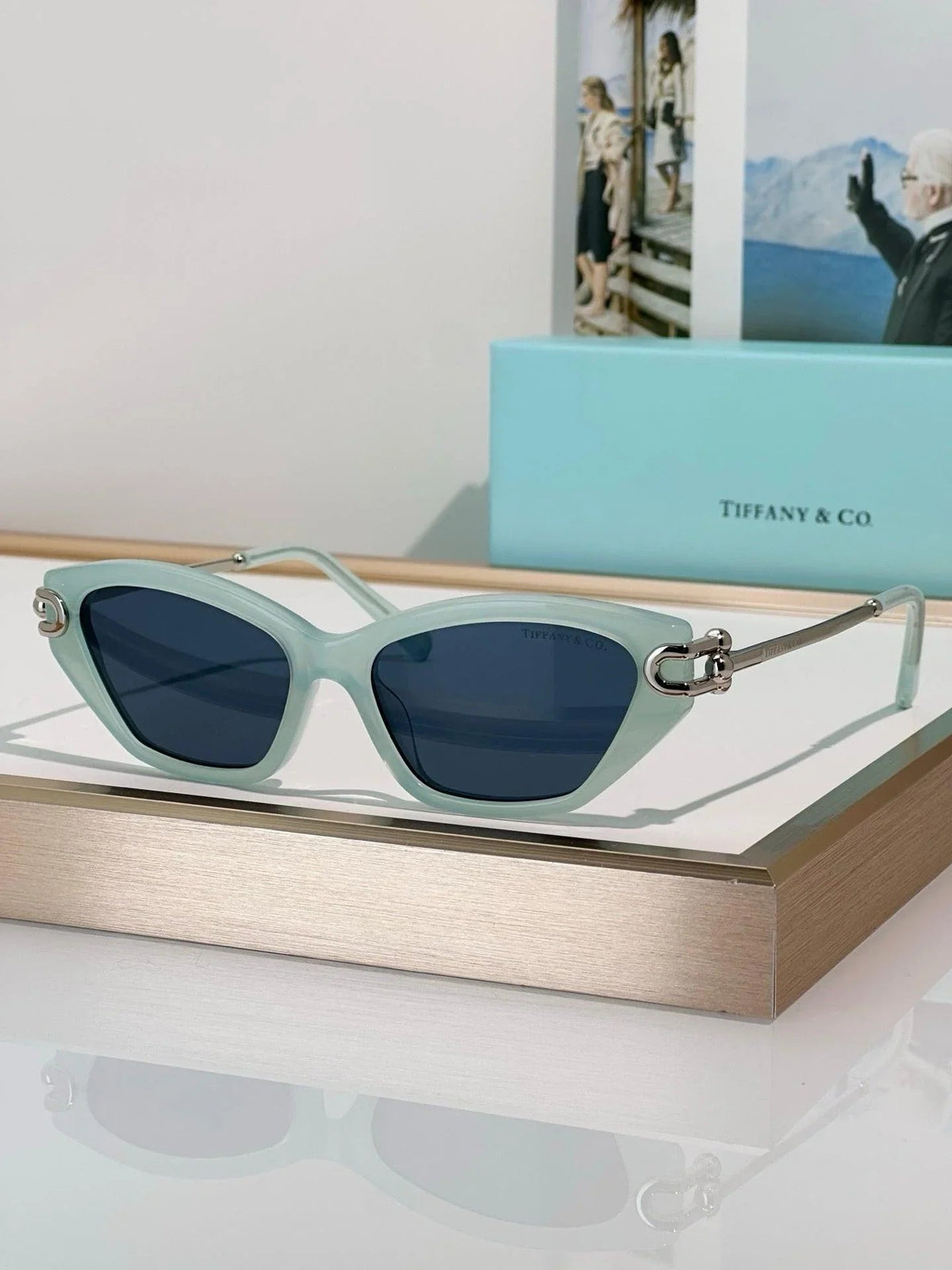 TIFFANY & CO TF4231U Women's Sunglasses ✨