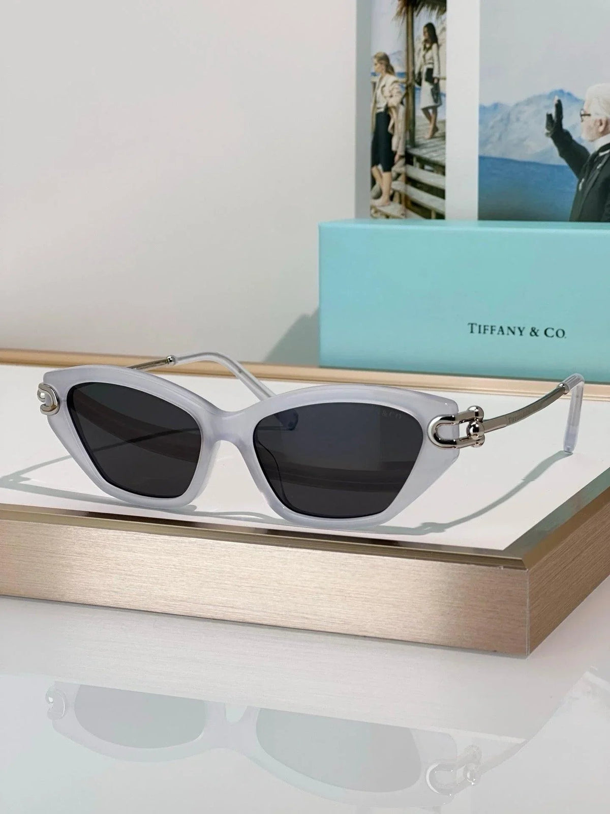 TIFFANY & CO TF4231U Women's Sunglasses ✨