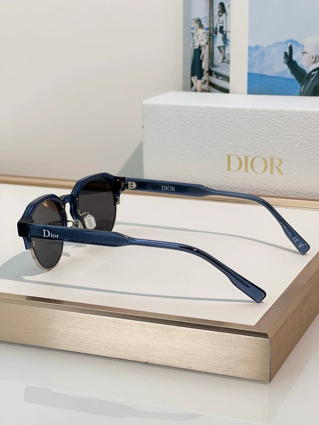 DIOR DioRibbon R1I Pantos  Sunglasses✨