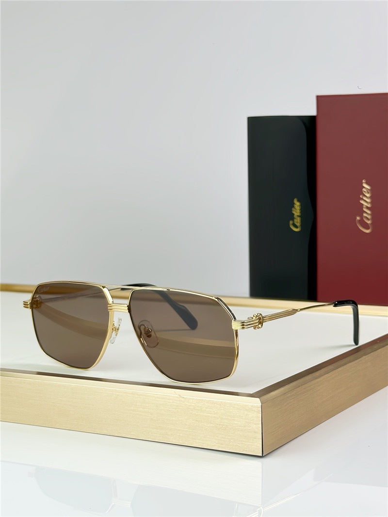 Cartier CT02710 Sunglasses 🐆