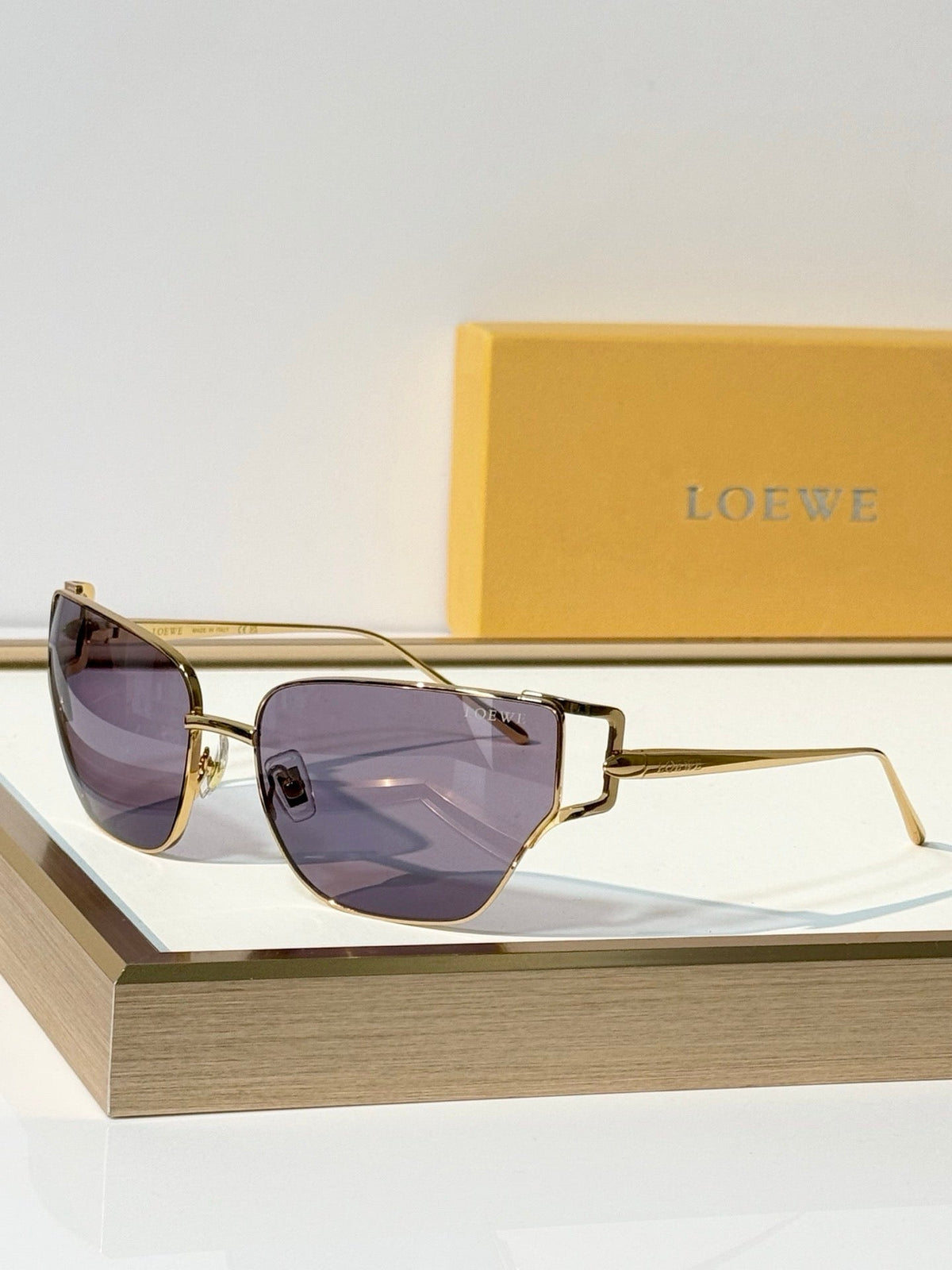 LOEWE Signature LW40150U Sunglasses  ✨