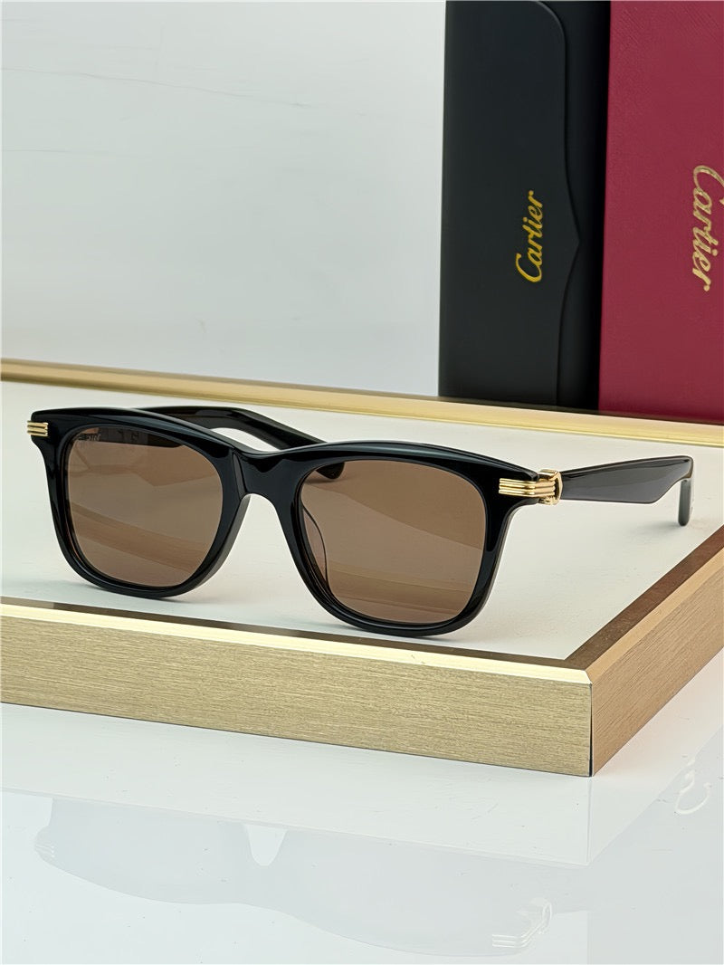 Cartier PREMIÈRE DE CARTIER CT0396S 001 Sunglasses&Glasses 🐆