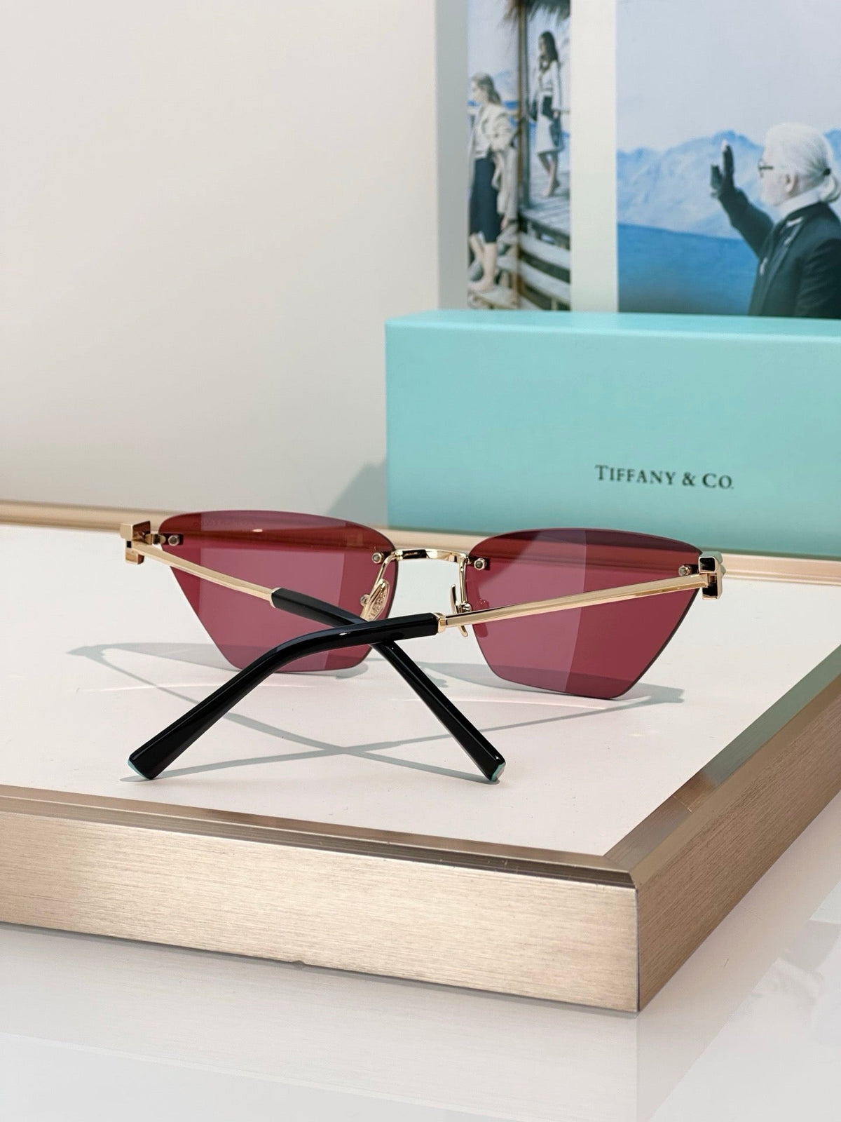 TIFFANY Tiffany & Co. TF3120 Women's Sunglasses ✨