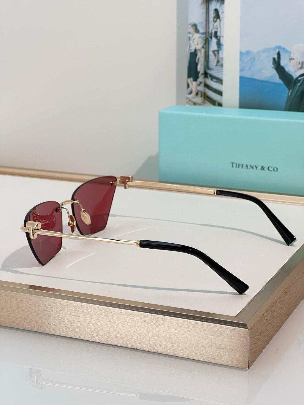 TIFFANY Tiffany & Co. TF3120 Women's Sunglasses ✨