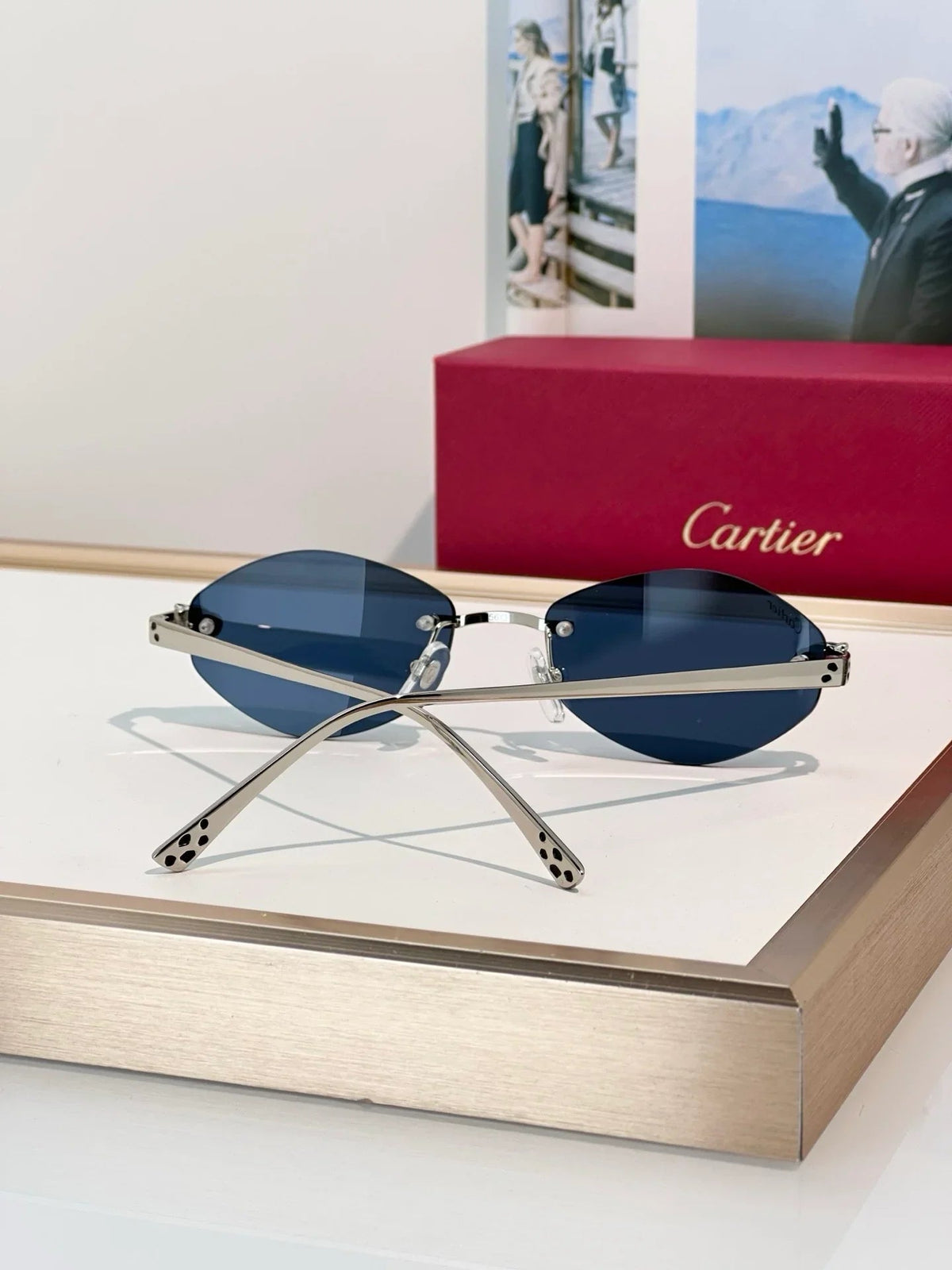 Cartier PREMIÈRE DE CARTIER CT0637O Glasses 🐆