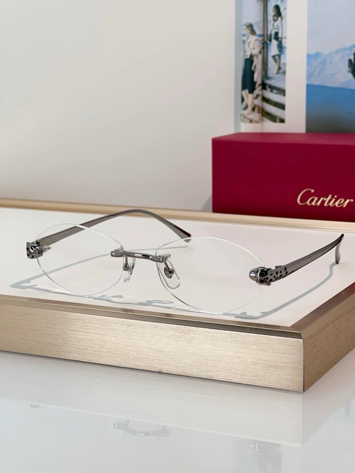 Cartier PREMIÈRE DE CARTIER CT0637O Glasses 🐆