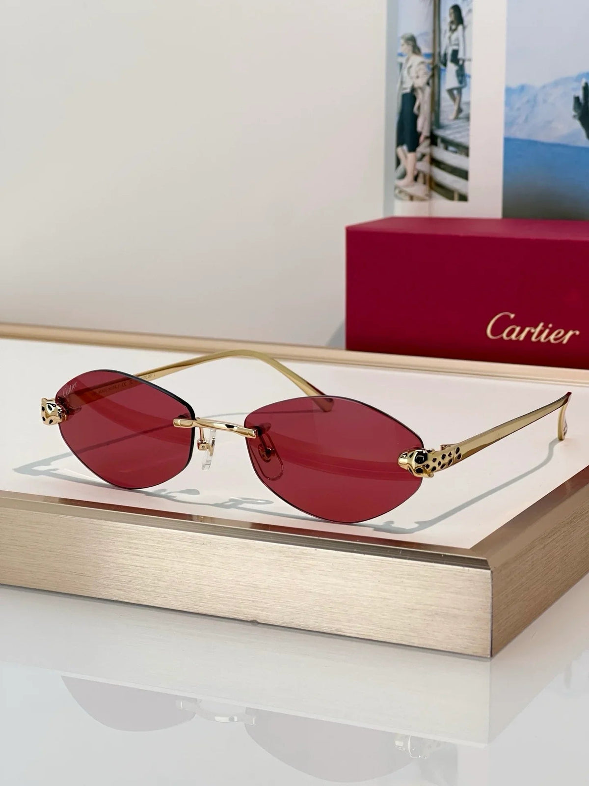 Cartier PREMIÈRE DE CARTIER CT0637O Glasses 🐆