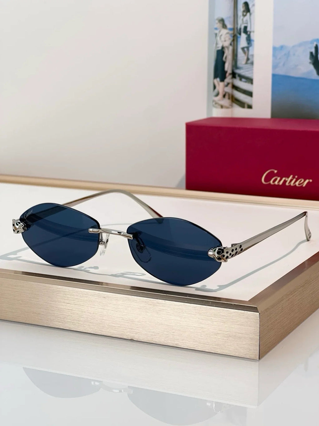 Cartier PREMIÈRE DE CARTIER CT0637O Glasses 🐆