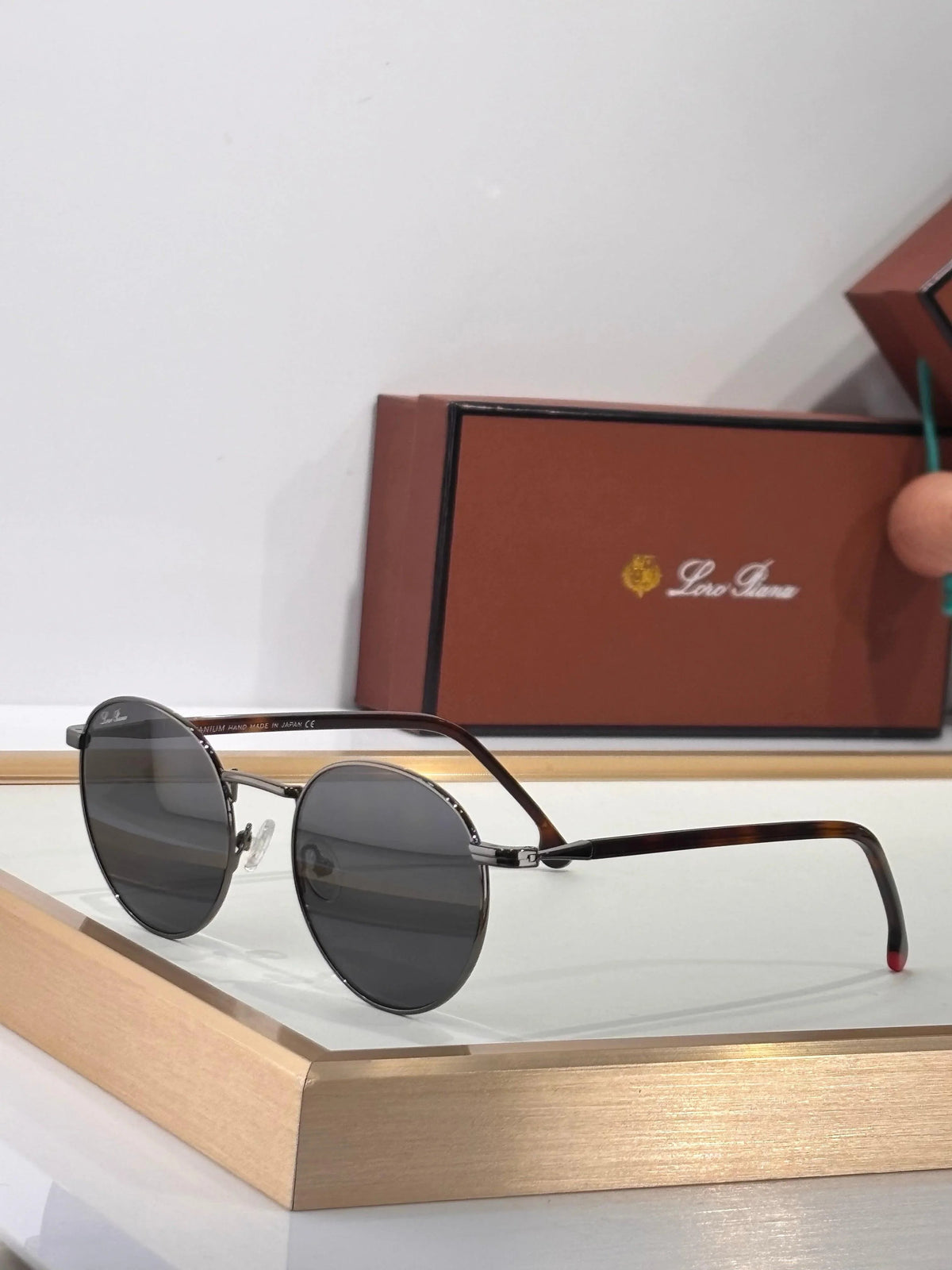 Loro Piana FAI4924 Unisex Sunglasses 🍂
