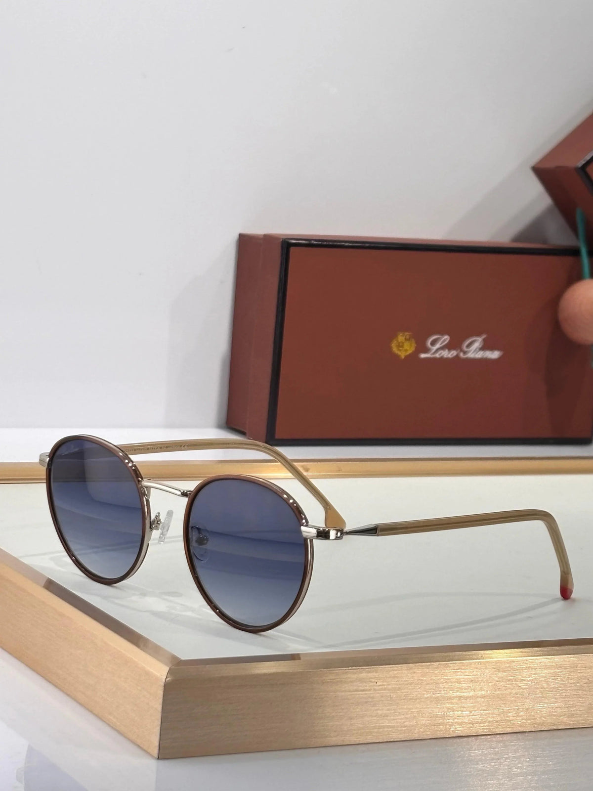 Loro Piana FAI4924 Unisex Sunglasses 🍂