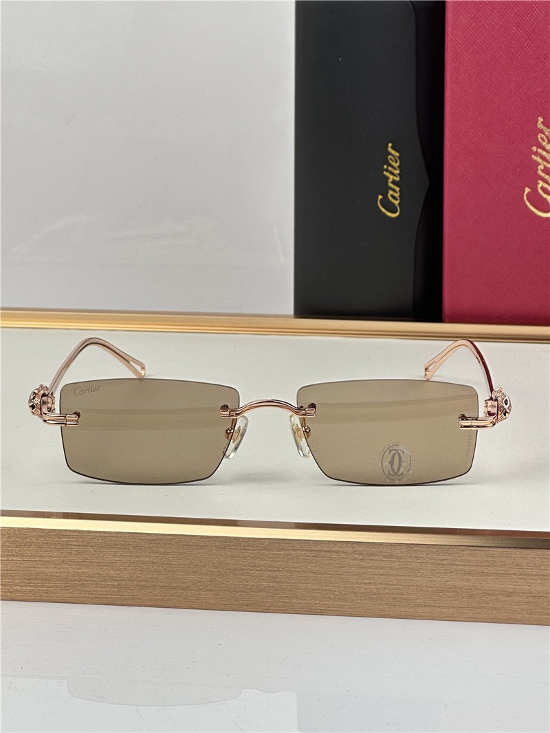 Cartier PREMIÈRE DE CARTIER CT0647 Sunglasses 🐆 $41K