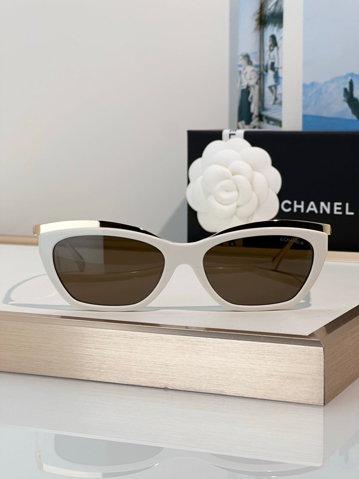 CHANEL 4299 Cat Eye Sunglasses  Eyewear  🖤