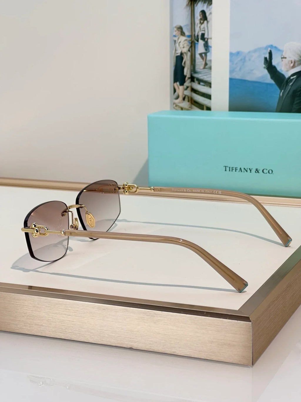 TIFFANY TF3114 Women's Sunglasses ✨